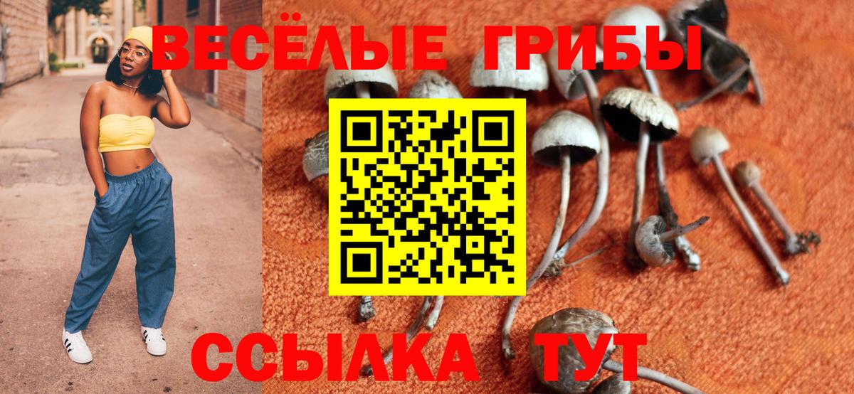 Новоуральск  Галлюциногенные грибы ЛСД  Вход с VPN  Галлюциногенные грибы мицелий 